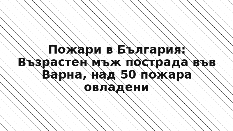 Пожари в България: Възрастен мъж пострада във Варна, над 50 пожара овладени