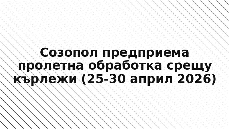 Созопол предприема пролетна обработка срещу кърлежи (25-30 април 2026)