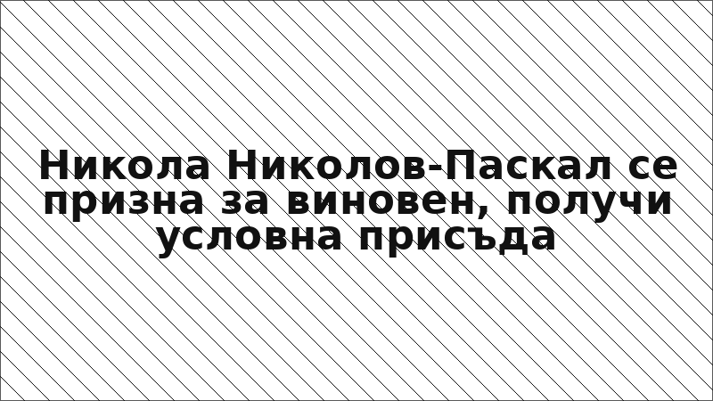 Никола Николов-Паскал се призна за виновен, получи условна присъда