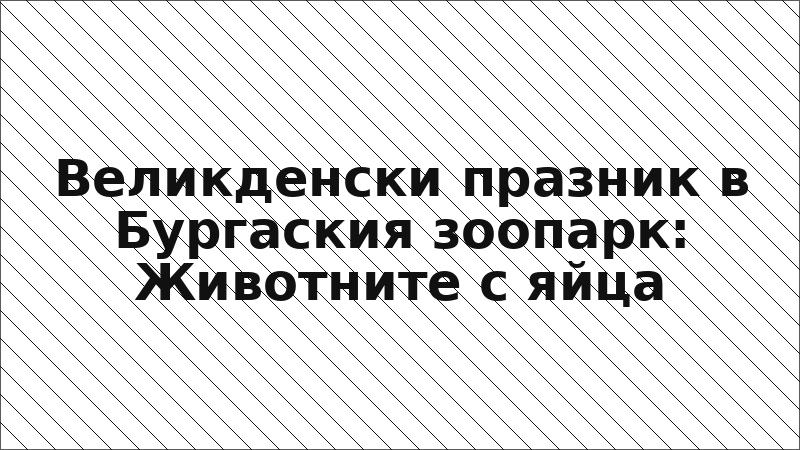 Великденски празник в Бургаския зоопарк: Животните с яйца