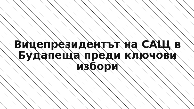 Вицепрезидентът на САЩ в Будапеща преди ключови избори