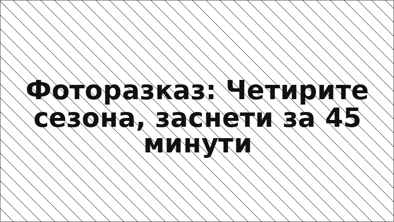 Фоторазказ: Четирите сезона, заснети за 45 минути