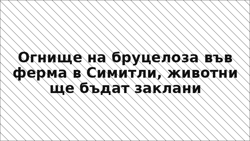 Огнище на бруцелоза във ферма в Симитли, животни ще бъдат заклани