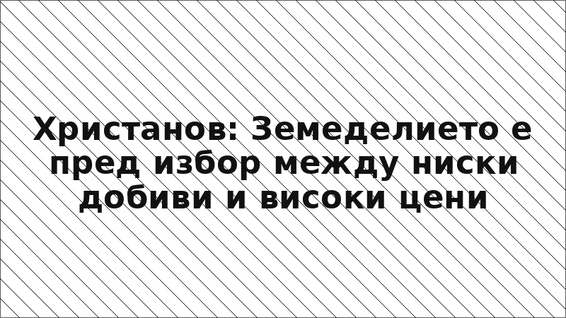 Христанов: Земеделието е пред избор между ниски добиви и високи цени