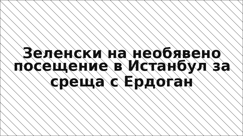 Зеленски на необявено посещение в Истанбул за среща с Ердоган