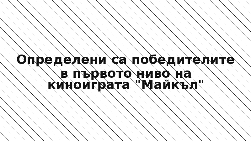 Определени са победителите в първото ниво на киноиграта "Майкъл"