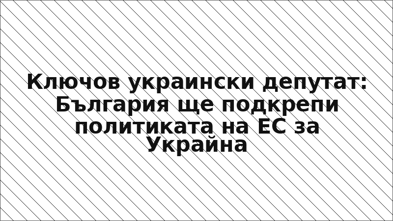 Ключов украински депутат: България ще подкрепи политиката на ЕС за Украйна