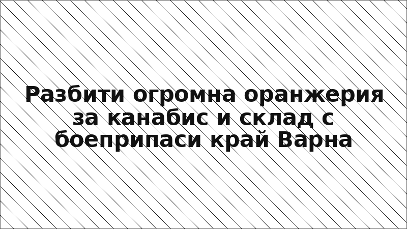 Разбити огромна оранжерия за канабис и склад с боеприпаси край Варна
