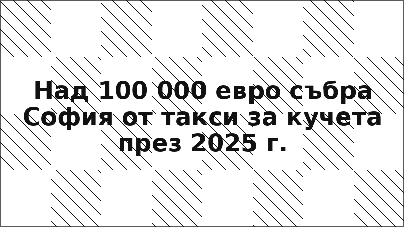 Над 100 000 евро събра София от такси за кучета през 2025 г.