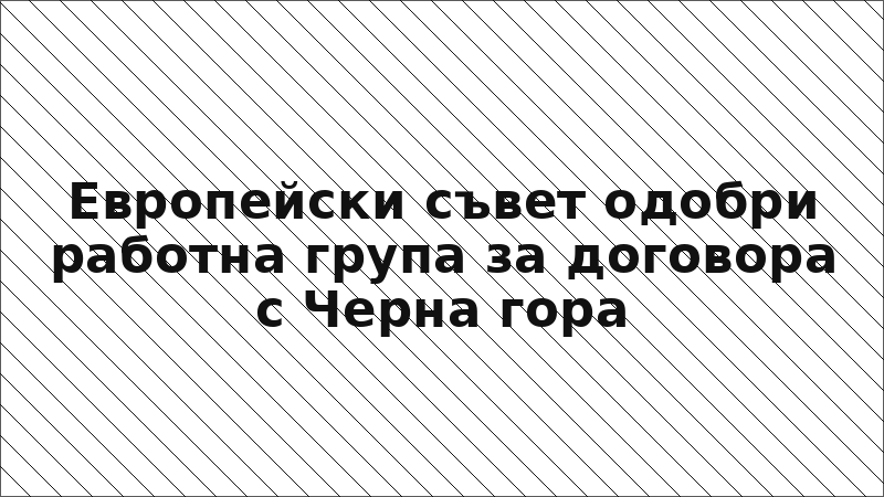 Европейски съвет одобри работна група за договора с Черна гора