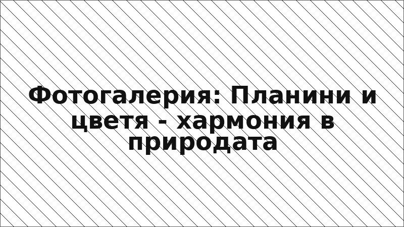 Фотогалерия: Планини и цветя - хармония в природата