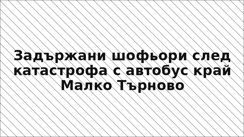 Задържани шофьори след катастрофа с автобус край Малко Търново