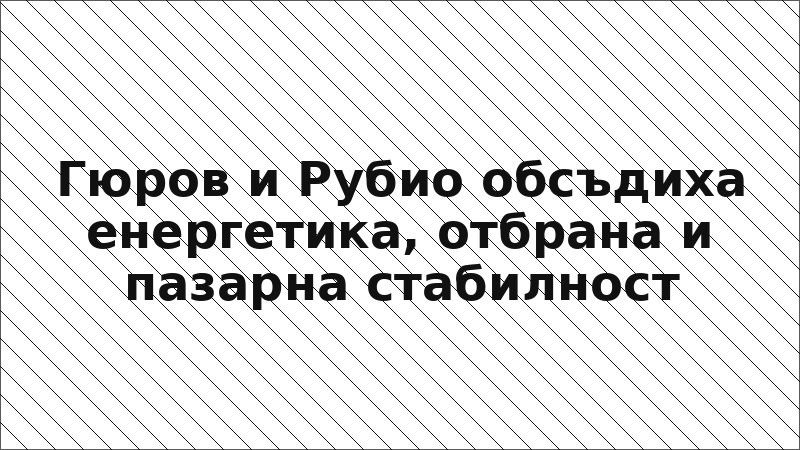 Гюров и Рубио обсъдиха енергетика, отбрана и пазарна стабилност