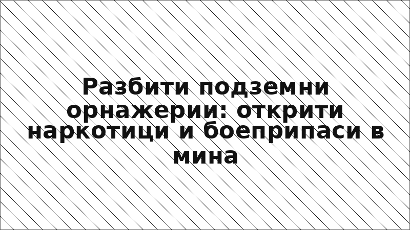 Разбити подземни орнажерии: открити наркотици и боеприпаси в мина