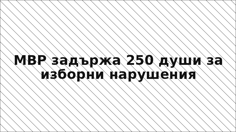 МВР задържа 250 души за изборни нарушения