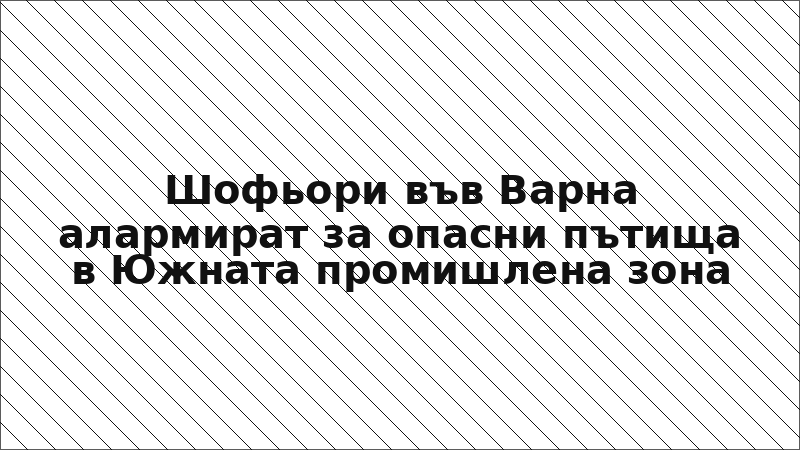 Шофьори във Варна алармират за опасни пътища в Южната промишлена зона