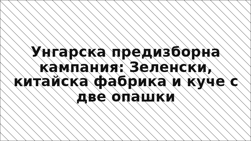 Унгарска предизборна кампания: Зеленски, китайска фабрика и куче с две опашки