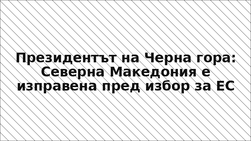 Президентът на Черна гора: Северна Македония е изправена пред избор за ЕС