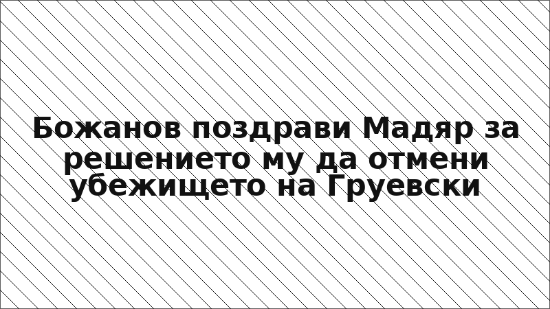Божанов поздрави Мадяр за решението му да отмени убежището на Груевски