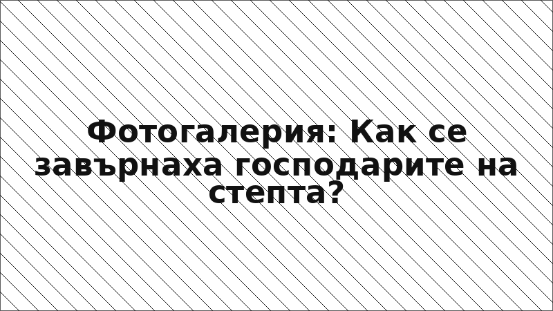 Фотогалерия: Как се завърнаха господарите на степта?