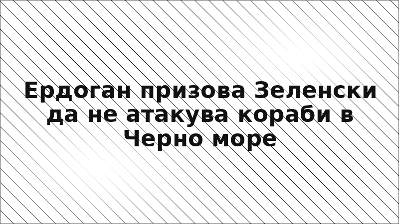 Ердоган призова Зеленски да не атакува кораби в Черно море