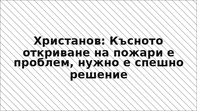 Христанов: Късното откриване на пожари е проблем, нужно е спешно решение