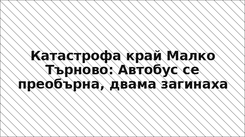 Катастрофа край Малко Търново: Автобус се преобърна, двама загинаха