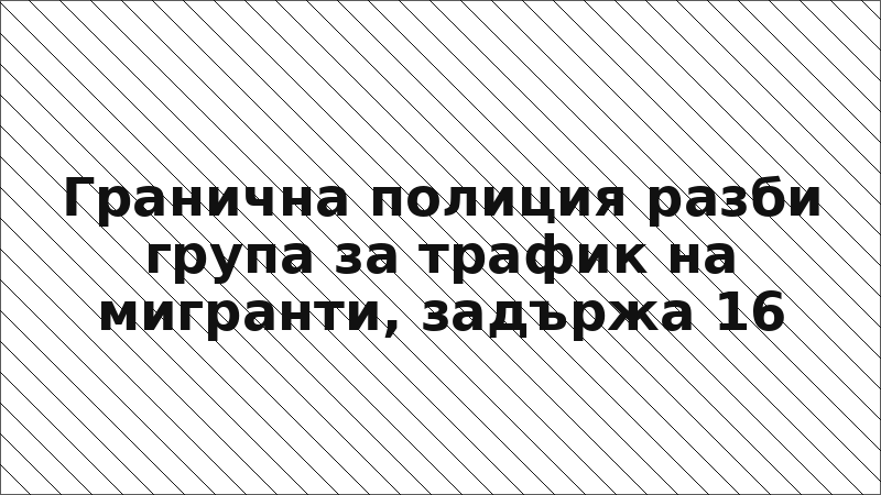 Гранична полиция разби група за трафик на мигранти, задържа 16