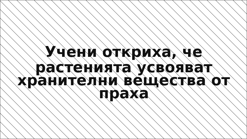 Учени откриха, че растенията усвояват хранителни вещества от праха