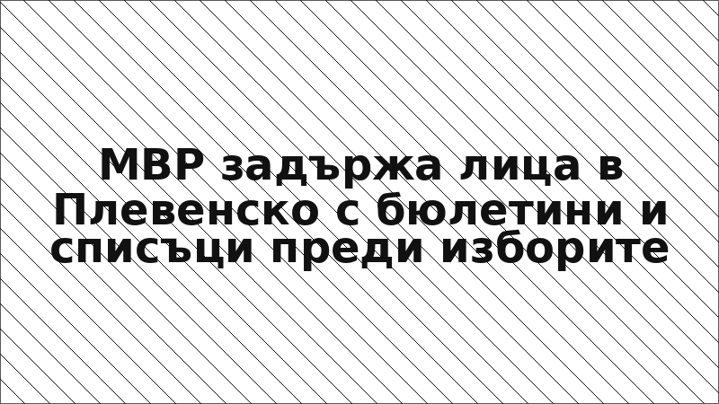 МВР задържа лица в Плевенско с бюлетини и списъци преди изборите
