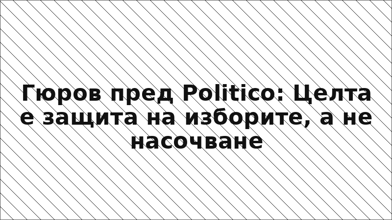 Гюров пред Politico: Целта е защита на изборите, а не насочване