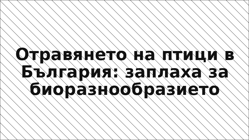 Отравянето на птици в България: заплаха за биоразнообразието