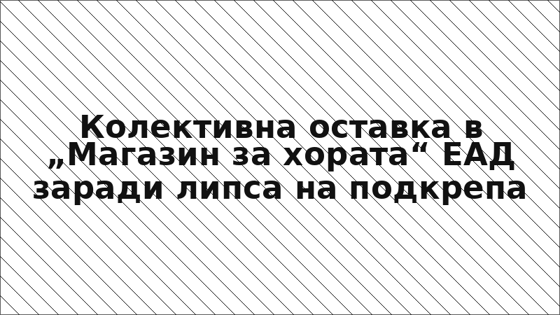 Колективна оставка в „Магазин за хората“ ЕАД заради липса на подкрепа