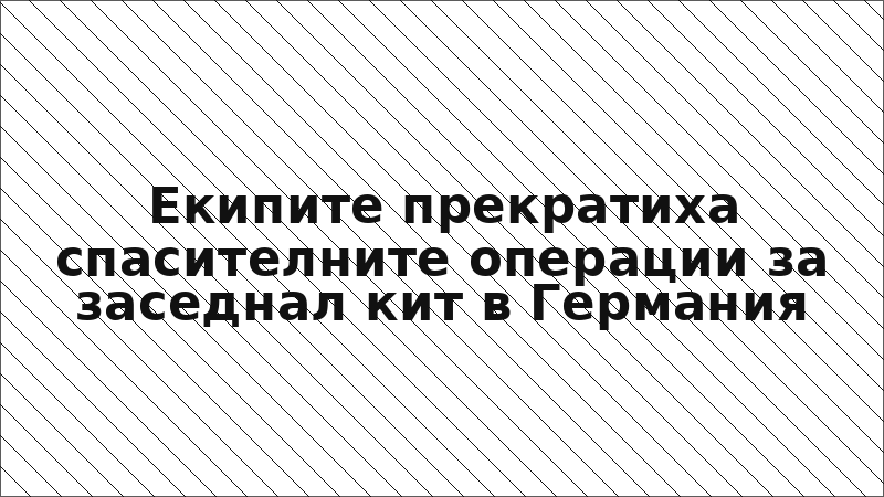 Екипите прекратиха спасителните операции за заседнал кит в Германия