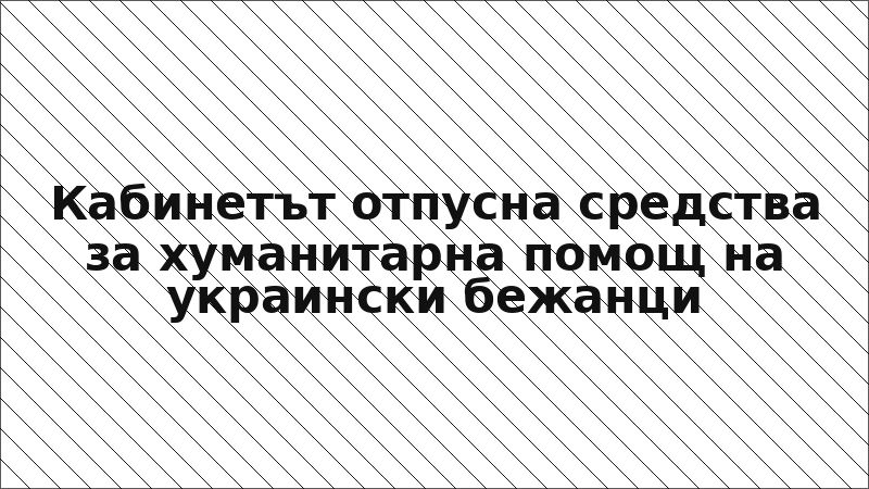 Кабинетът отпусна средства за хуманитарна помощ на украински бежанци