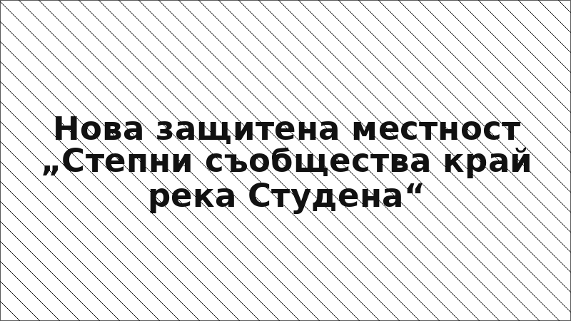 Нова защитена местност „Степни съобщества край река Студена“