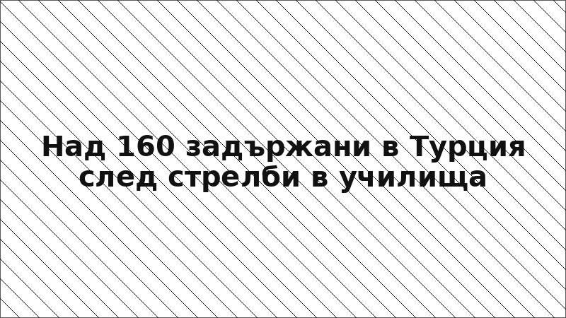Над 160 задържани в Турция след стрелби в училища