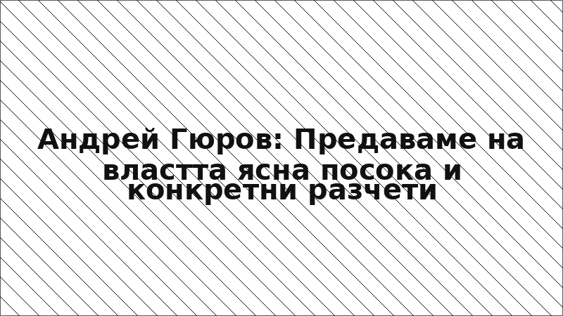 Андрей Гюров: Предаваме на властта ясна посока и конкретни разчети