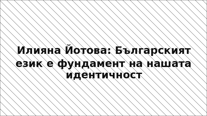 Илияна Йотова: Българският език е фундамент на нашата идентичност