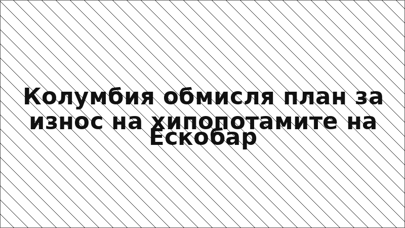Колумбия обмисля план за износ на хипопотамите на Ескобар