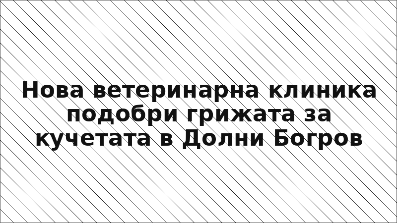 Нова ветеринарна клиника подобри грижата за кучетата в Долни Богров
