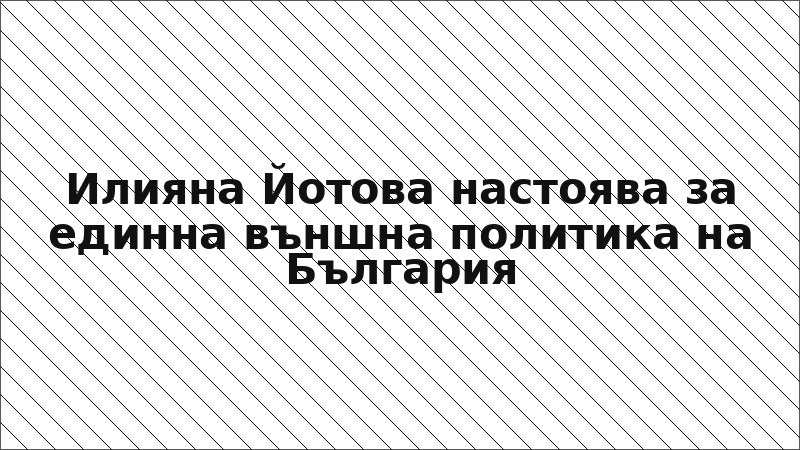 Илияна Йотова настоява за единна външна политика на България
