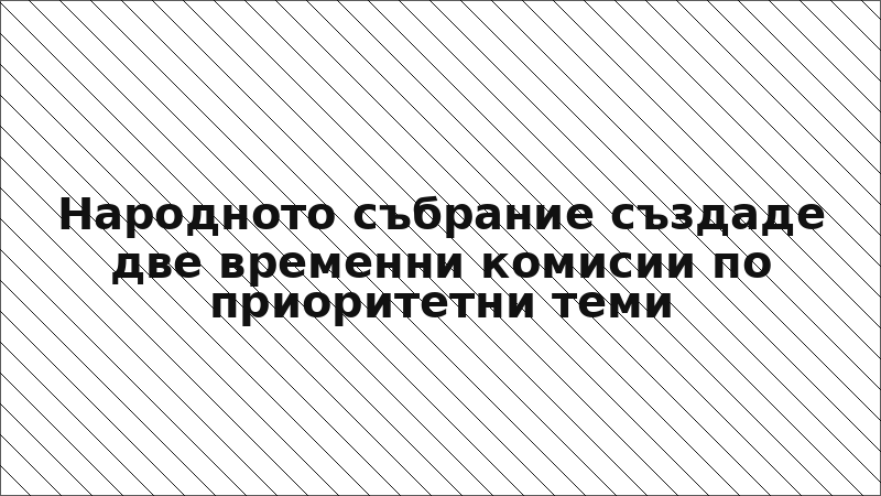 Народното събрание създаде две временни комисии по приоритетни теми
