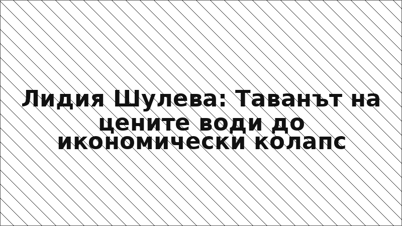 Лидия Шулева: Таванът на цените води до икономически колапс