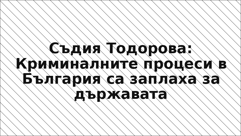 Съдия Тодорова: Криминалните процеси в България са заплаха за държавата