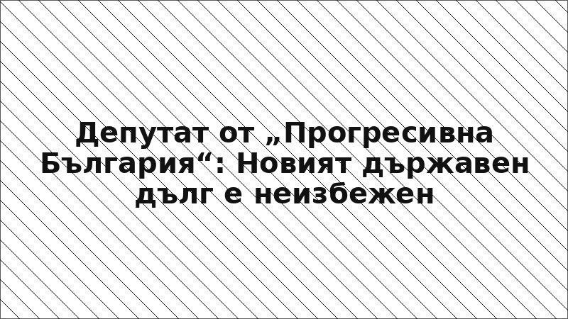 Депутат от „Прогресивна България“: Новият държавен дълг е неизбежен