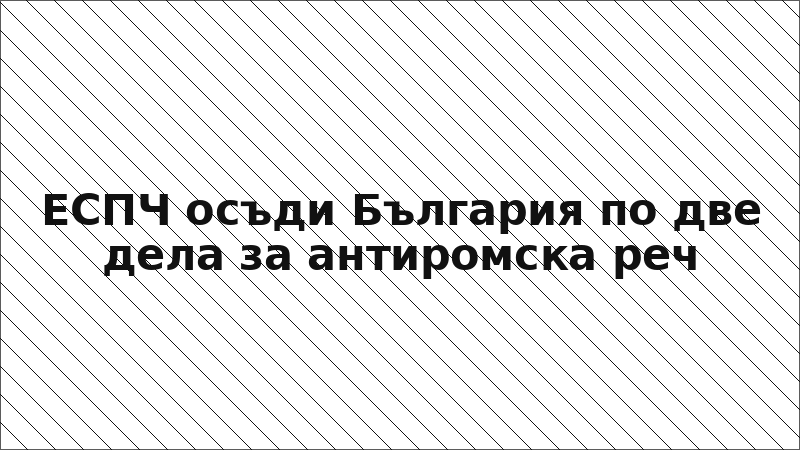 ЕСПЧ осъди България по две дела за антиромска реч