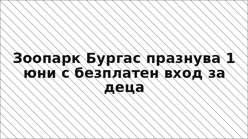 Зоопарк Бургас празнува 1 юни с безплатен вход за деца