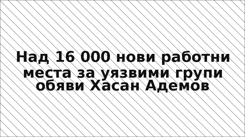 Над 16 000 нови работни места за уязвими групи обяви Хасан Адемов