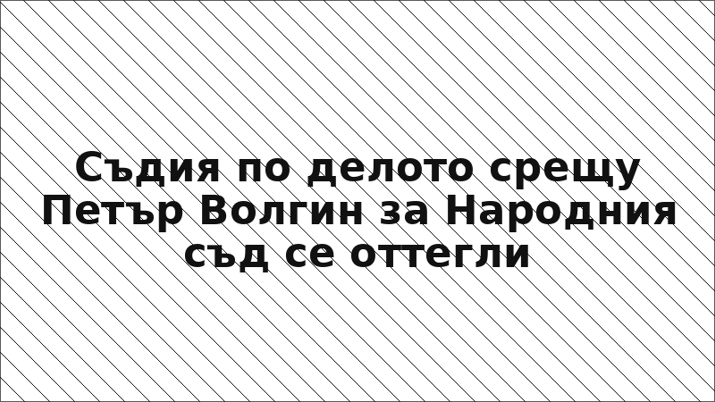 Съдия по делото срещу Петър Волгин за Народния съд се оттегли